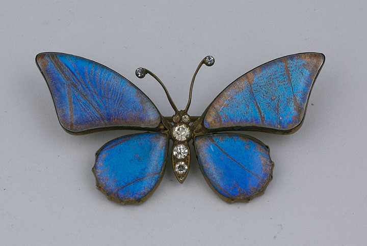 Victorian Butterfly Wing Brooch